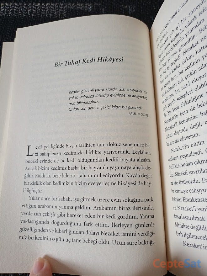 HER ŞEY SENİNLE BAŞLAR. - LEYLALI HİKAYELER. İKİ KİTAP TEK FİYAT. - İstanbul Beşiktaş