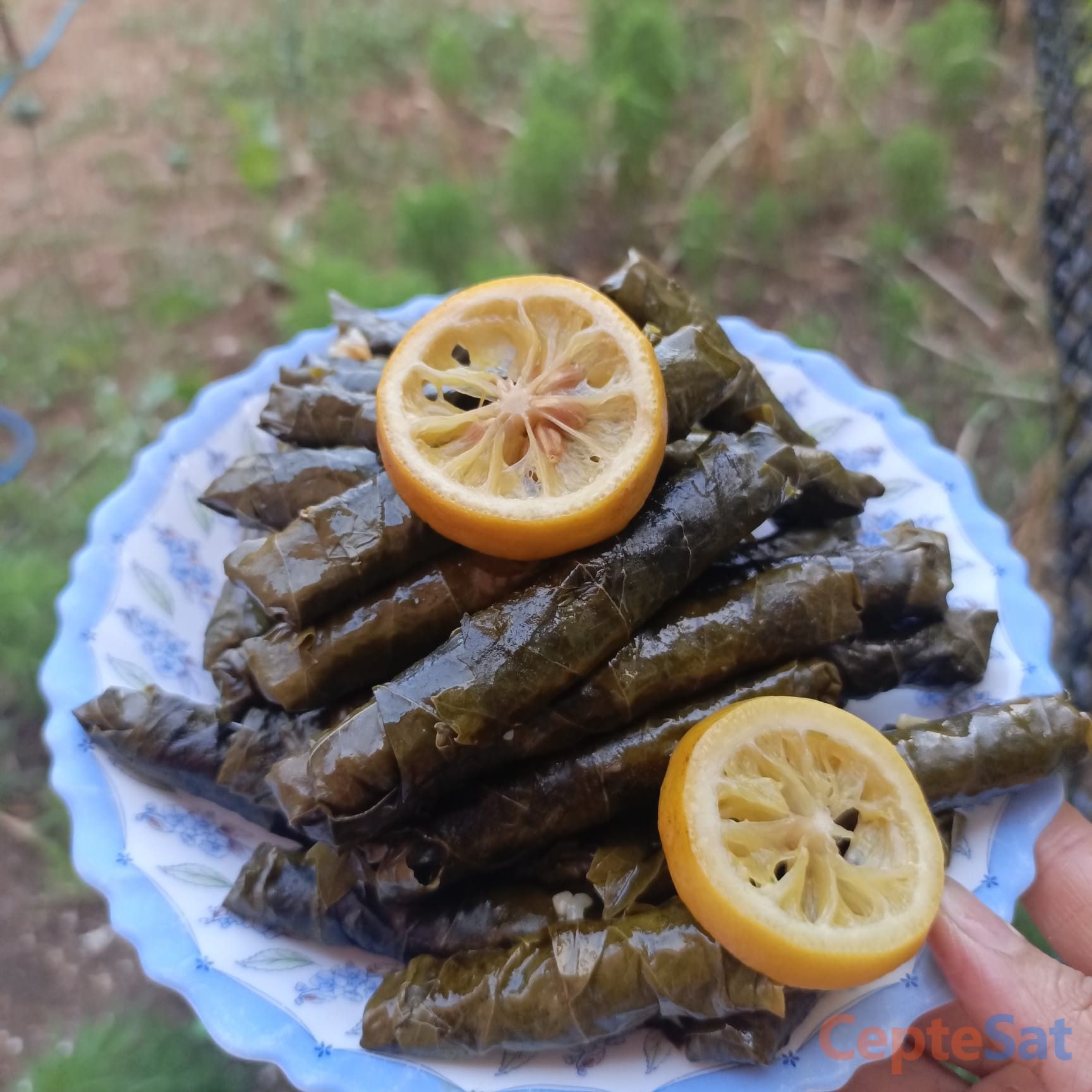 Salamura yaprak - Uşak Merkez