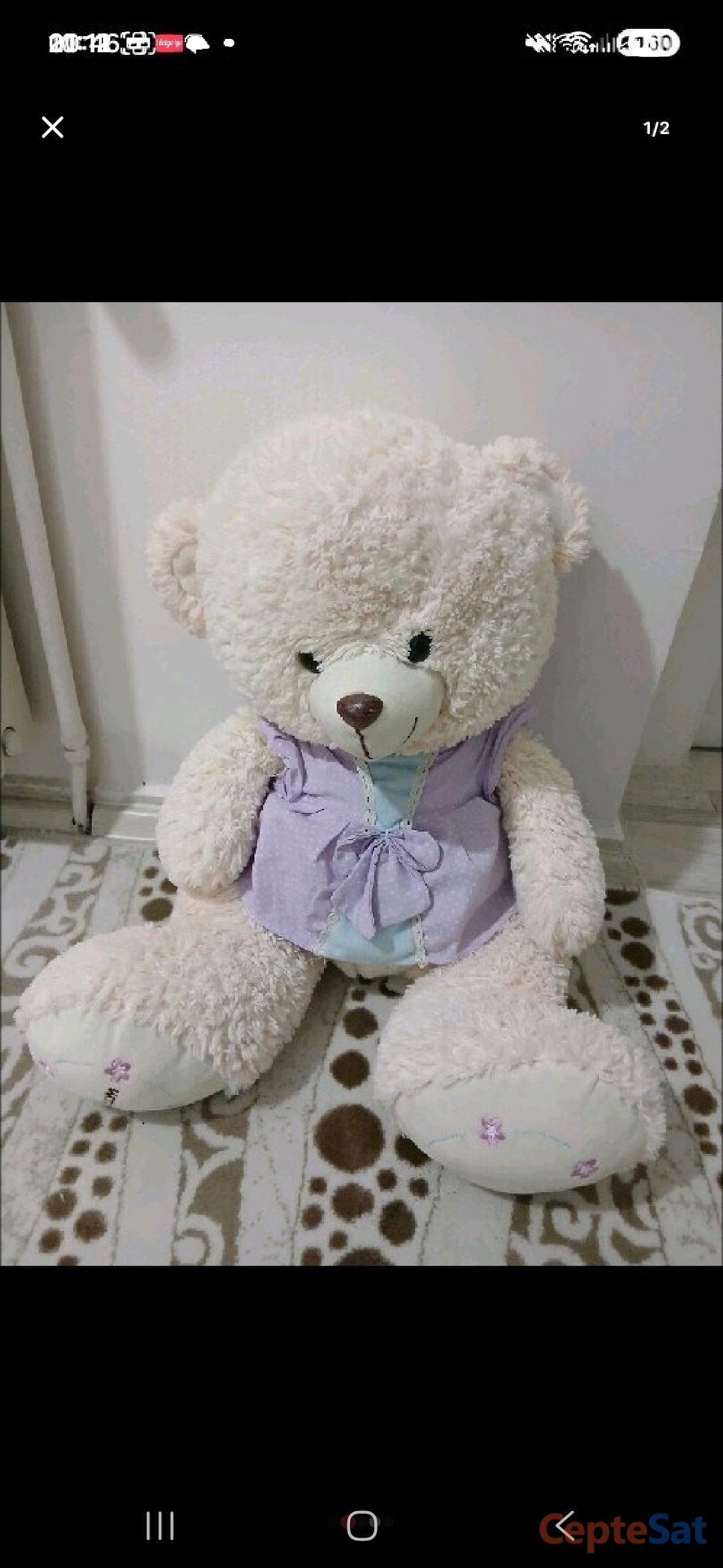 Tüm peluş ayıcıklar - Elazığ Merkez
